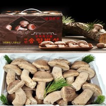 송이향버섯 친환경무농약 선물용, 송향삼등급500g