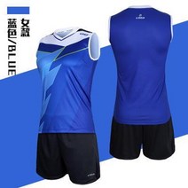 Eto 2018 새로운 여성 민소매 저지 배구 세트 빠른 건조 배구 팀 유니폼 여성 경기 훈련 tracksuits hxb024, 푸른, s