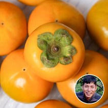 농부마음 구례 김상수 농부의 부유 단감 5kg (27과내), 단품없음