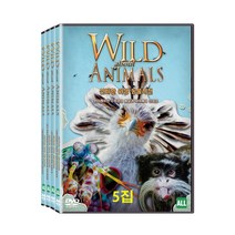 [DVD] 히스토리채널: 신비한 야생 동물사전 5집: 몬터레이만 수족관의 해달과 마이애미 산호초 [WILD ABOUT ANIMALS]