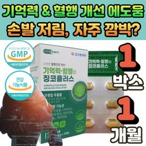 식 약 처인증 기억력 혈액순환 도움 고함량 징코 플러스 혈행개선 영양제 뇌 두뇌 다리 손 발 저림 에좋은 은행잎 추출물 빌로바 메디 감퇴 떨림 중년 여성 부모님 명절 선물, 01. 500mg *30정, 1개