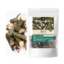 벌나무 효능 산겨릅나무 산청목 벌나무차 국내산 500g