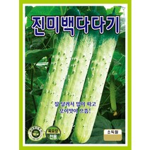과채류 씨앗] 오이 진미백다다기 10립