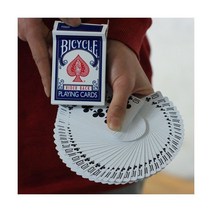 스뱅갈리덱 바이시클