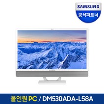 삼성전자 일체형PC DM530ADA-L58A 데스크탑 올인원PC WIN11 포함, RAM 16GB+SSD 256GB+HDD 1TB