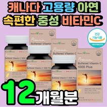 메가도스 고용량 비타민시 1000MG 비타민씨 항산화 20대 남자 피부 수용성 여성 비타민C 고농도 피부 데일리 항산화 ASCORBICACID 아스코르빈산 임산부 영양제 추천