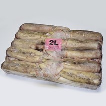 자갈치닷컴 오징어 냉동오징어 2L 21kg전후 (약 22마리), 22개