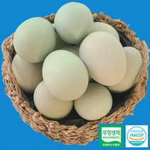 무항생제 청계 유정란 동물복지 인증 친환경 유기농 청란 청계알 청계란 달걀 백화점납품 고급 계란 특란사이즈 40구 당일산란 당일배송, 무항생제 청계란 유정란 40구