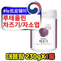 식후 밤에마시는 건강 자소엽 차즈기 차조기 차 250g 빌베리 루테올린 추출물 임산부 산모 임신 초기 준비 여성 여자 유기농 식물성 차조기잎 카페인없는 티