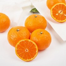 [감동] 귤로향(벌크박스), 1box, 2kg 소과 19-24과 내외 2개구매 500g증정