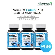 중년 노년 각막 시력 건강 유지 에 좋은 루테인 영양제 남성 여성 안구 눈이 침침할때 피로할때 흐릿할때 아플때 시릴때, 3BOX(9개월분)