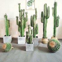 대형 선인장 조화 키 큰 화분 장식 사막 인테리어, 75 cm A
