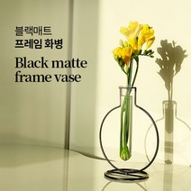 [모비딕컴퍼니] 예쁜소품 인테리어조화화분 앤틱화병 소품 미니화병 디자인화병 유리수반, 잇★ 블랙 매트 철제 프레임 화병(꽃미포함) 철제화병, [좋아요], 본상품선택