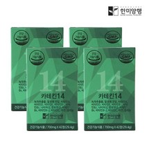 한미양행 카테킨 14 녹차 추출물 다이어트 보조제 700mg 4박스+쇼핑백+(6개입)한알가득멀티비타민 증정