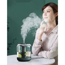 usb 램프 미니 가습기 꽃향기 가습기 가습공기청정기 대용량 1L, 그린