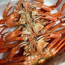 독도 깊은 바다 조업 싱싱한 홍게 3kg 자숙 / 대게 구룡포, 일반형 (수율 70%)