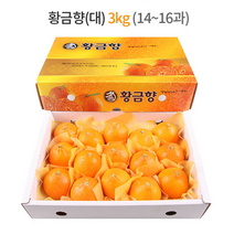 제주 황금향 선물세트 3kg (대과) 14-16과 / 하우스 노지 고당도 귤 감귤 밀감 레드향 천혜향 카라향 청귤 수라향 신비향 가정용 추석 명절 설 감사 은사 선물 조생 타이벡, 3kg (대) 14-16과