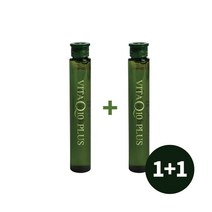 1+1 소망 인큐스 비타Q10 플러스앰플 13ml