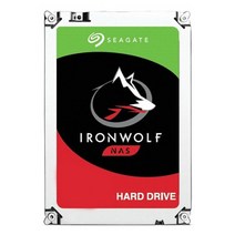 씨게이트 아이언울프 NAS 3.5 SATA HDD 4TB, ST4000VN006