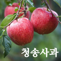 청송 사과 부사 농부네 부부농장 꿀 사과 산지직송, 1박스, 03.사과 가정용 2kg 대과