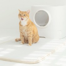 컨트리캣 특대형 사막화 고양이모래 방지 화장실 매트 발판, 그레이