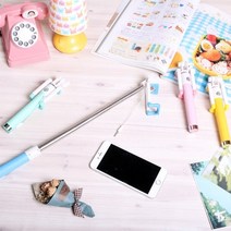 6000 제이니5959 버튼식 셀카봉 아이폰 갤럭시, 민트