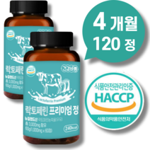 락토페린 다이어트 뱃살식약청인증 프리미엄 정 효능 식약청인증 건강바름, 락토페린 프리미엄정 120정_4개월