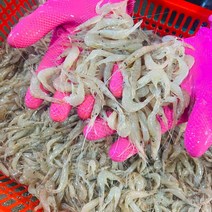 [프로수산] 민물생새우 빠른배송 자연산 민물새우 1kg 빠른배송, 민물 새우 1kg, 1개