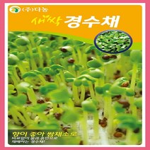 새싹경수채 1kg
