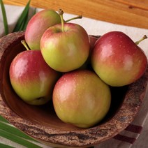 미니사과 루비에스 1kg/2kg, 단품