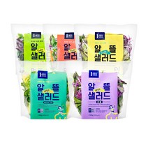 [1am] 알뜰 데일리 세척 야채 샐러드 5종 혼합구성, 5팩, 100g