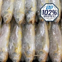 고소한 참조기 3.6g-4kg 52/60마리 내외