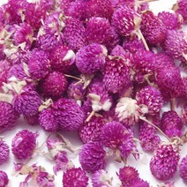 천일홍꽃(비누 화장품 원료), 천일홍-100g