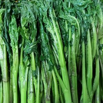 울릉도 삶은 엉겅퀴 나물 1.0kg, 삶은 엉겅퀴나물 1.0kg, 1개