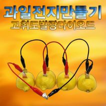 과일전지 만들기(고휘도발광다이오드)