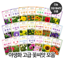 [가든팜] 다농 야생화 씨앗 고급 꽃씨앗 모음 51종 - 조경용 화단 정원 꾸미기, 25 신경초