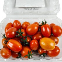 스테비아토마토 맛있는 토마토, 1box, 500g 4팩