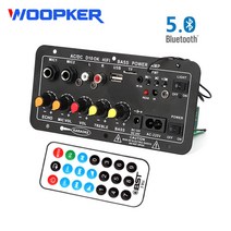 GPS재방사 Woopker 서브우퍼 블루투스 오디오 앰프 보드 듀얼 마이크 앰프 모듈 8-12 인치 스피커용 120W 1, 01 EU Plug