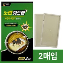 대길 노런(쥐트랩 2매입) 쥐끈끈이 쥐덫 마우스트랩 _ 2023895EA, 쿠팡 1, 쿠팡 본상품선택