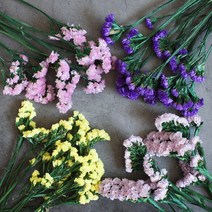 프리저브드 스타티스 소량판매/4색 건조화 플라워 재료, 02. 스타티스(분홍)