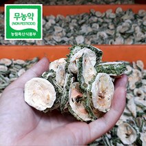 우리농원 여주 농장 22년 국산 햇건여주, 1개, 건여주 800g