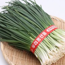 깐쪽파 500g 팔팔마켓 국산 깐파1단 보성 실파한단