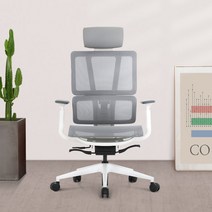 린백 LB256MHA 사무용 학생 컴퓨터 책상 풀메쉬 의자, LB256MHAW(화이트바디)_그레이