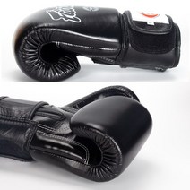 복싱 장갑 복싱글러브 복싱용품 페어텍스 페텔 복싱 글러브 BGV1 킥복싱 글러브-67166, 옵션04, 18oz