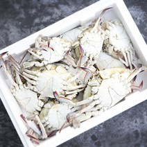 제철 가을 숫꽃게, 1box