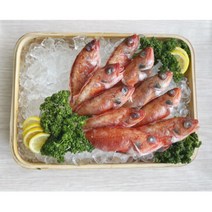호호농수산 강릉수협 국내산 홍열기 반건조생선 동해홍열기, 1개