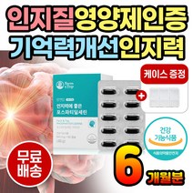기억영양제 인지력 영양제 인지질 포스파티딜세린 대두레시틴 ps PHOSPHATIDYLSERINE 뇌건강 뇌에좋은영양제 기억력 포스타티딜세린 기억력개선 기억력영양제 집중력영양제