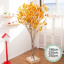 실내인테리어 인조나무 123종 / 플트 조화나무 C, C10.라인-단풍자작나무 190cmK/코너형