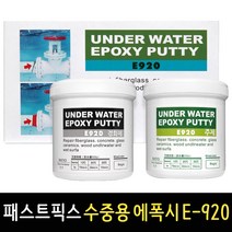 패스트픽스 수중용 에폭시 수중본드 E-920 접착제 보수제 본드, 1개