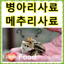 초이사료 병아리사료 1kg 소분판매전문 종합비타민 폐사방지 비타민 천연미네랄 무기질 다량함유 [명품사료], 10번 산란닭 칼슘 200g